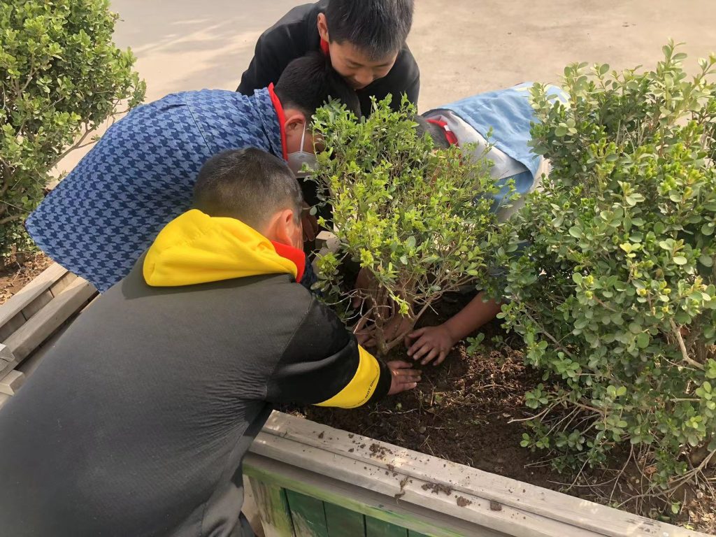 春风十里，正“植”有你—郑州市惠济区保合寨小学植树节活动