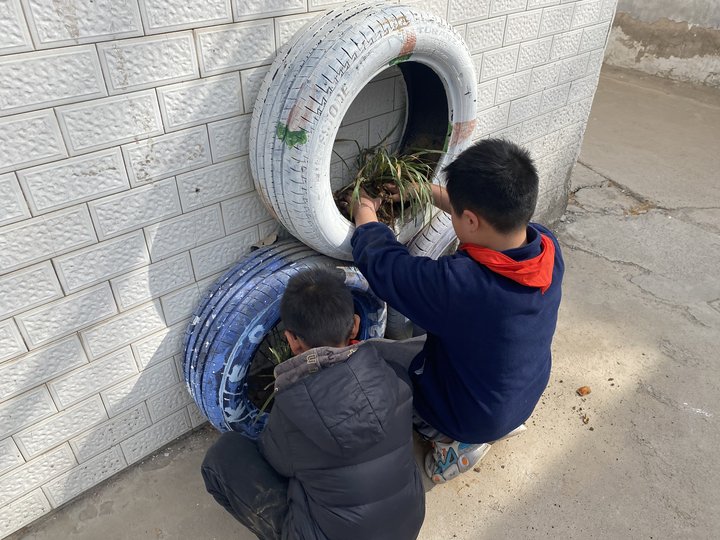 春风十里，正“植”有你—郑州市惠济区保合寨小学植树节活动