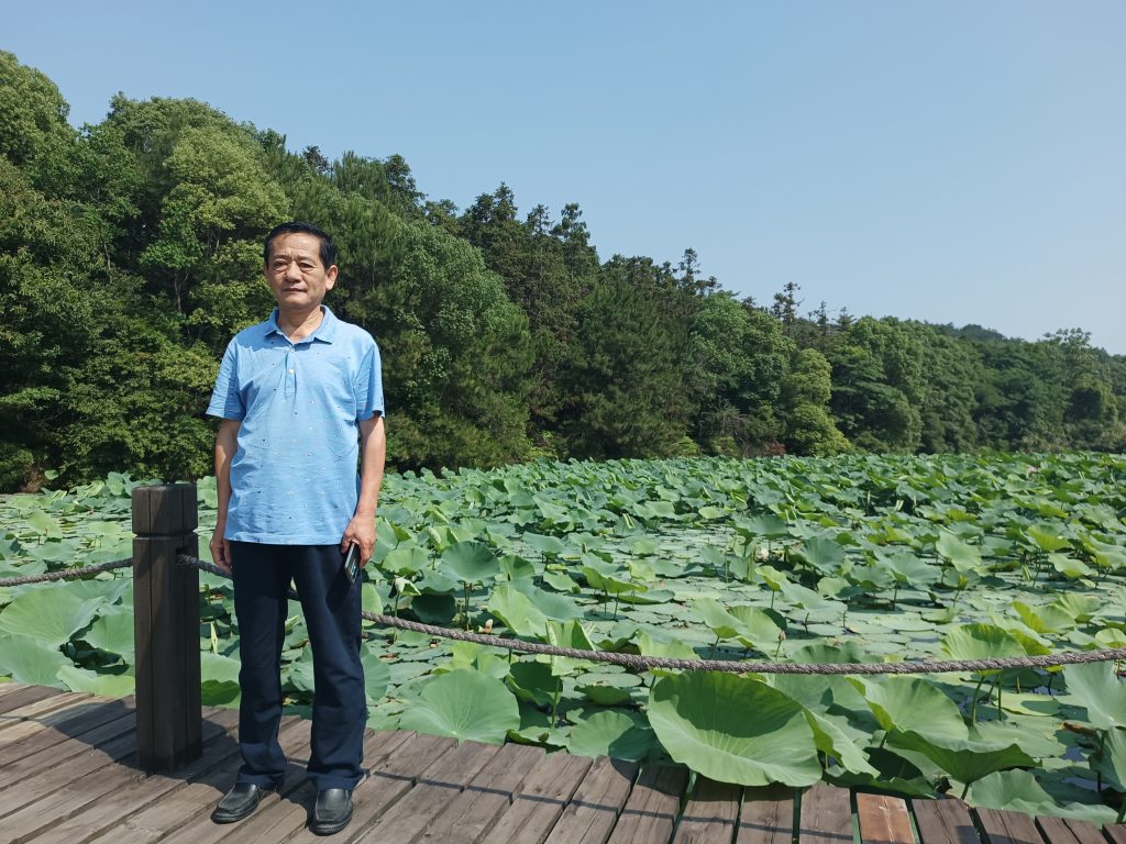 话说高山白茶